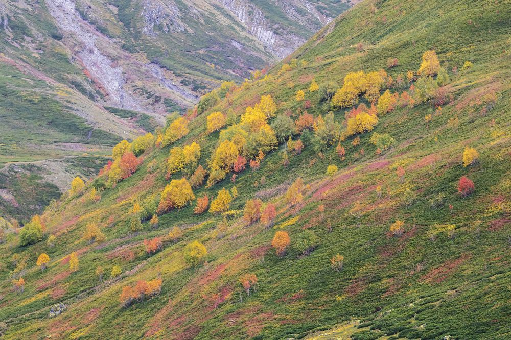 Photograph by Константин Кукушкин