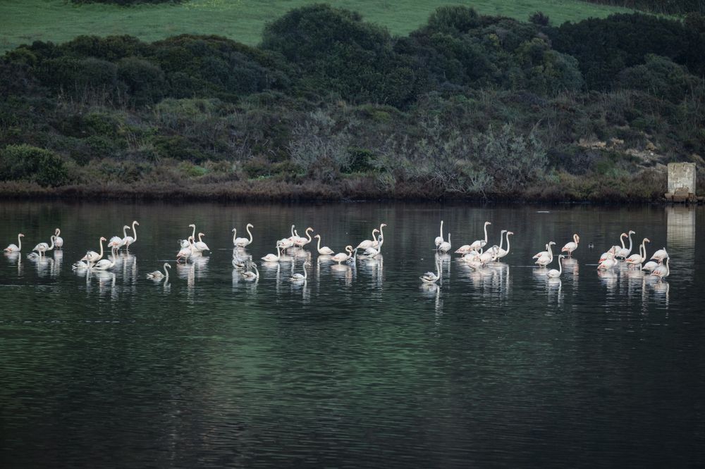 Photograph by Katerina