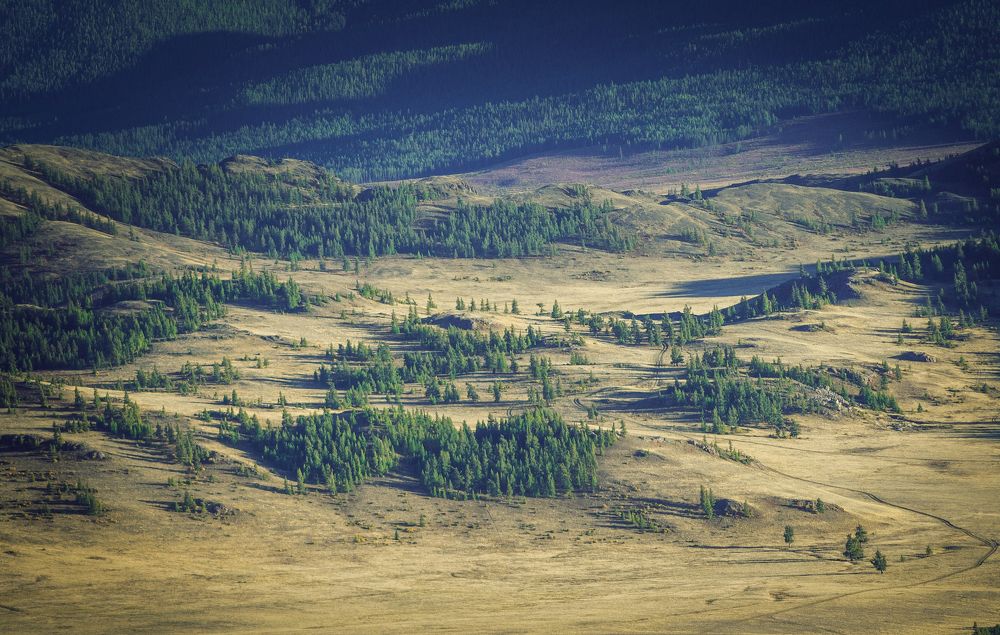 Вечерний Курай