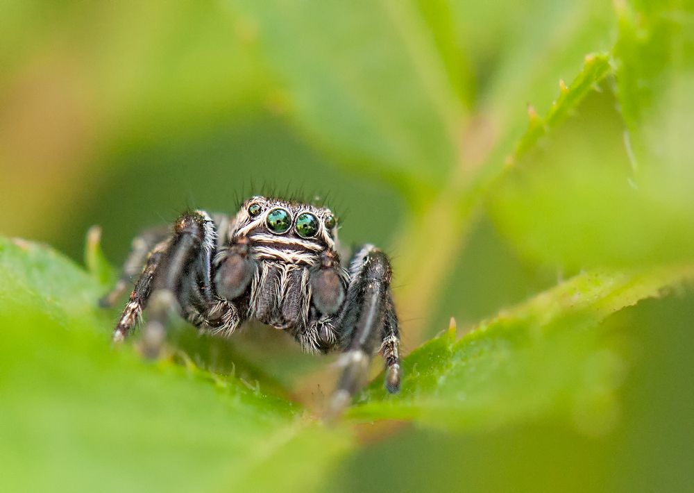 Photograph by Олег Тыркин