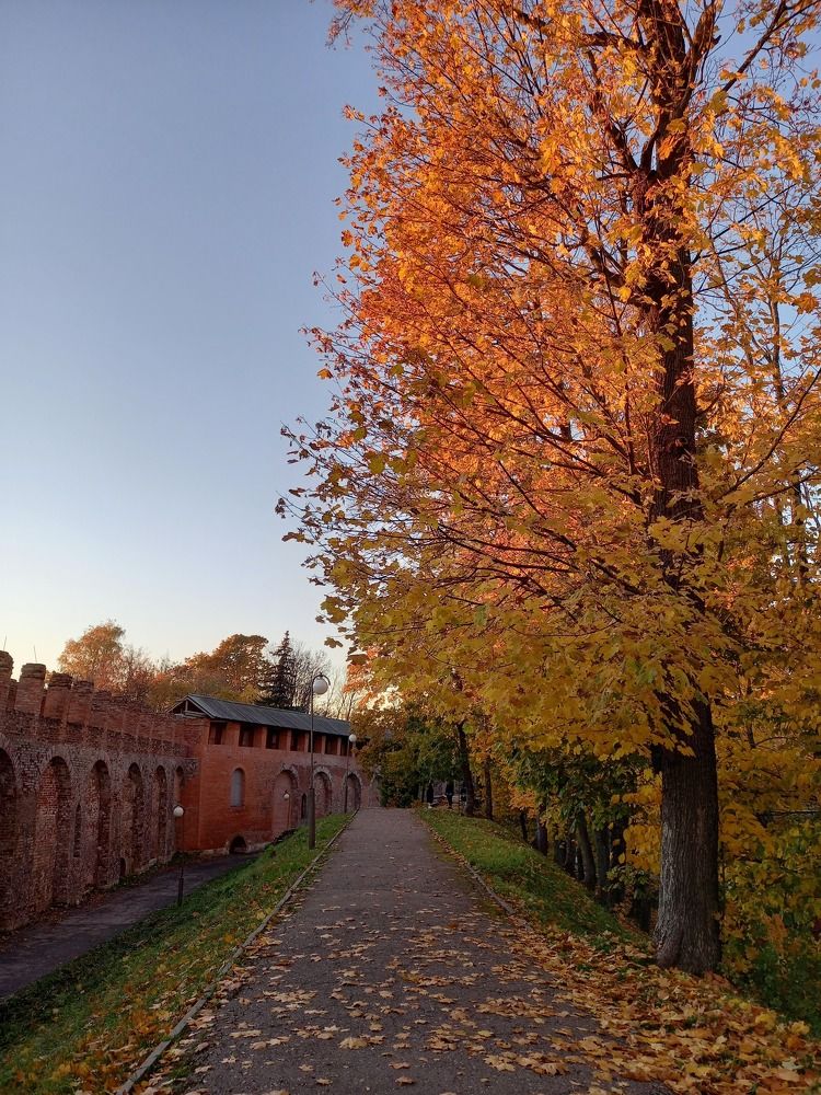 Photograph by Ольга