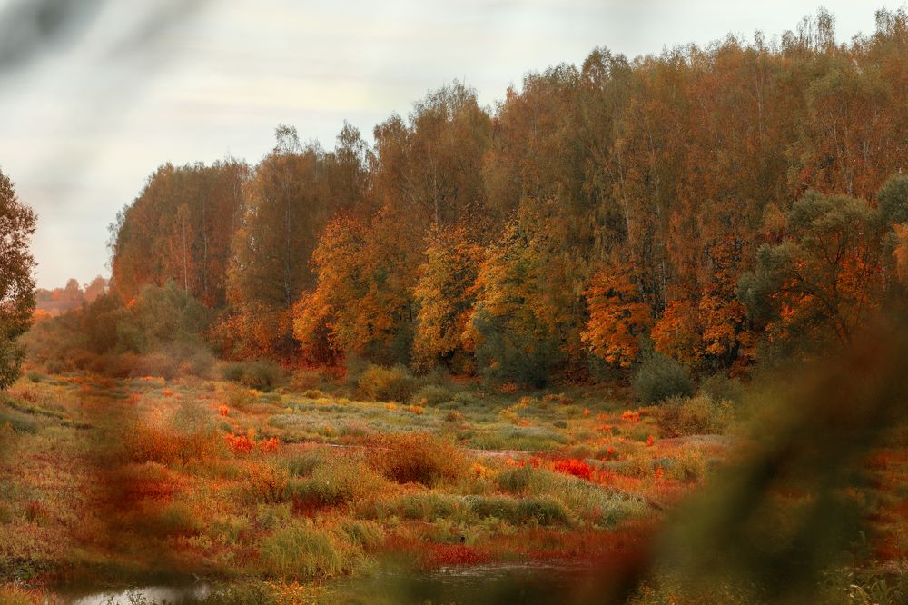 Photograph by Хирдина Екатерина