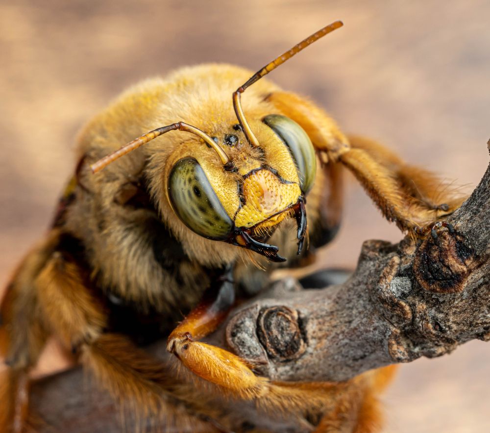 Photograph by Bryam Blanco