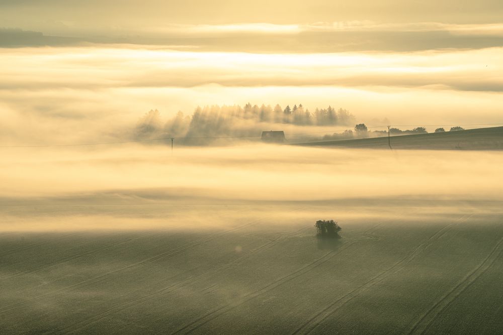 Photograph by Jan Orszagh