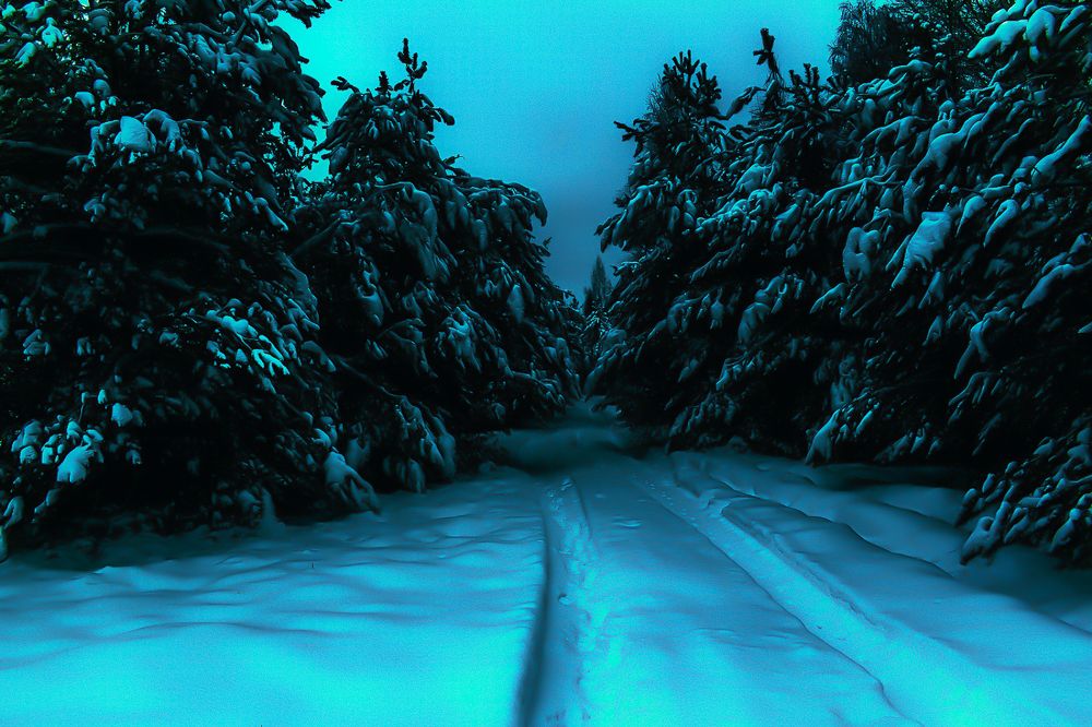 Photograph by Роман Павлов