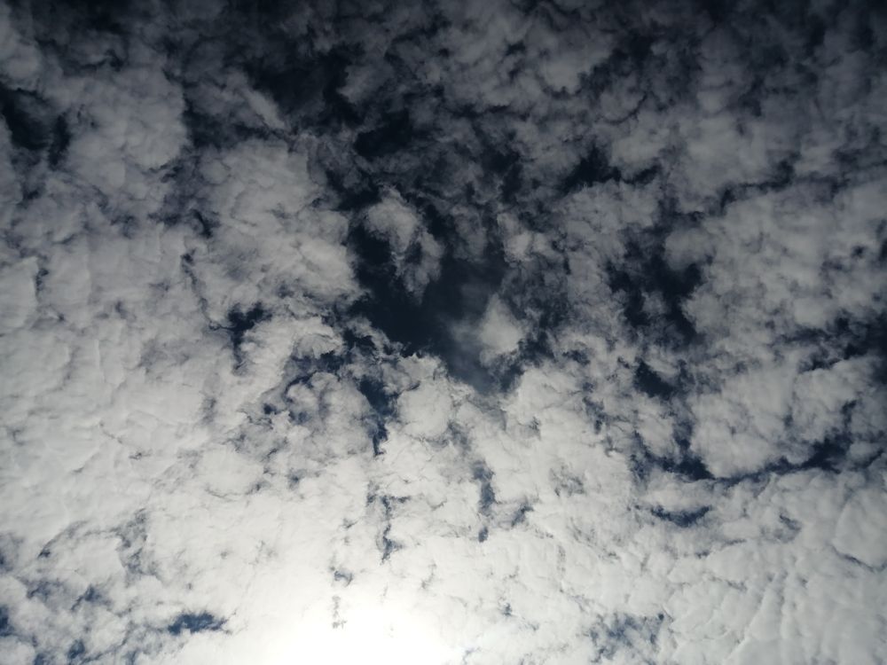 Photograph by Роман Шпаков