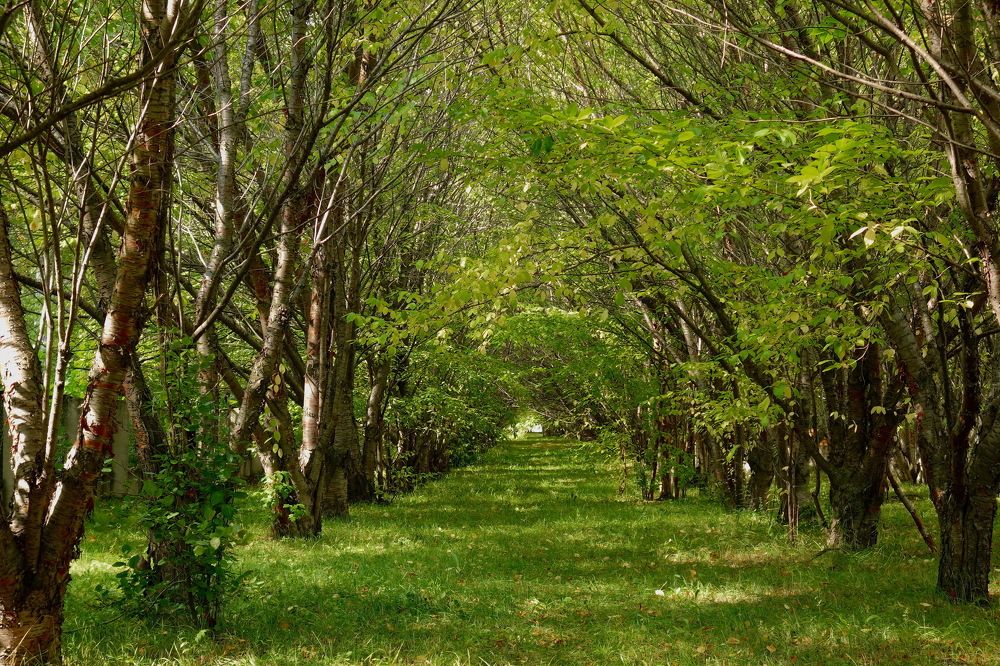 Photograph by Сергей Гребенников