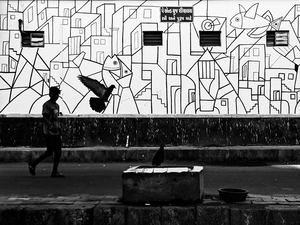 Фотография автора Darshan Shah