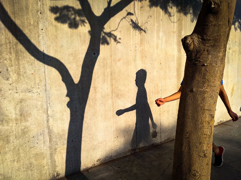 Photograph by Darshan Shah