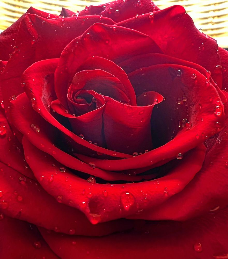 Photograph by Александра Акси