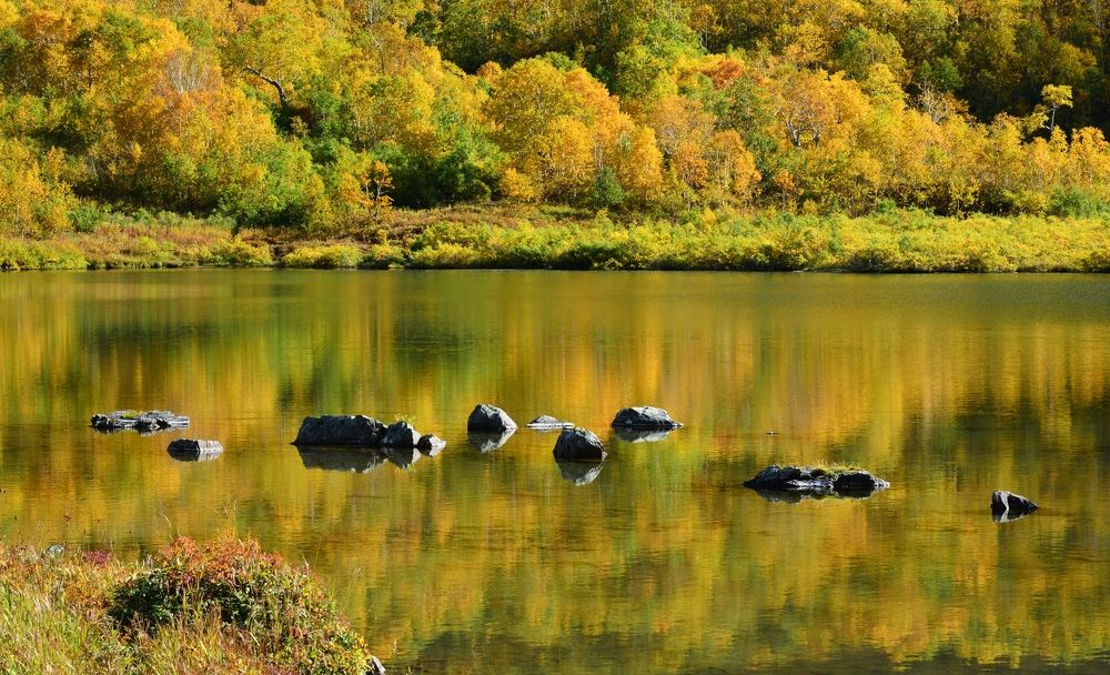 Photograph by Любовь Штильникова