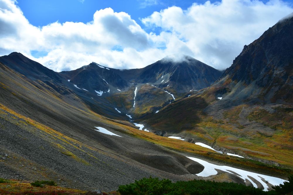 Photograph by Любовь Штильникова