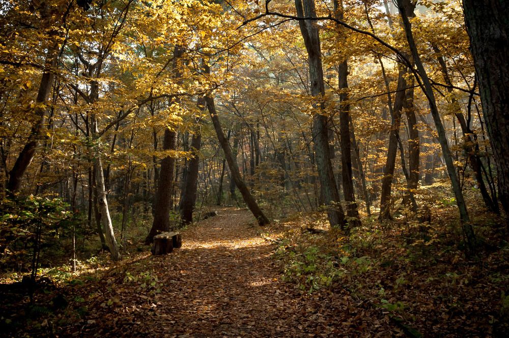 Photograph by Лариса Крышталь