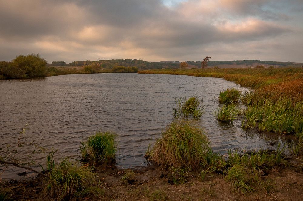 Photograph by Лариса Крышталь