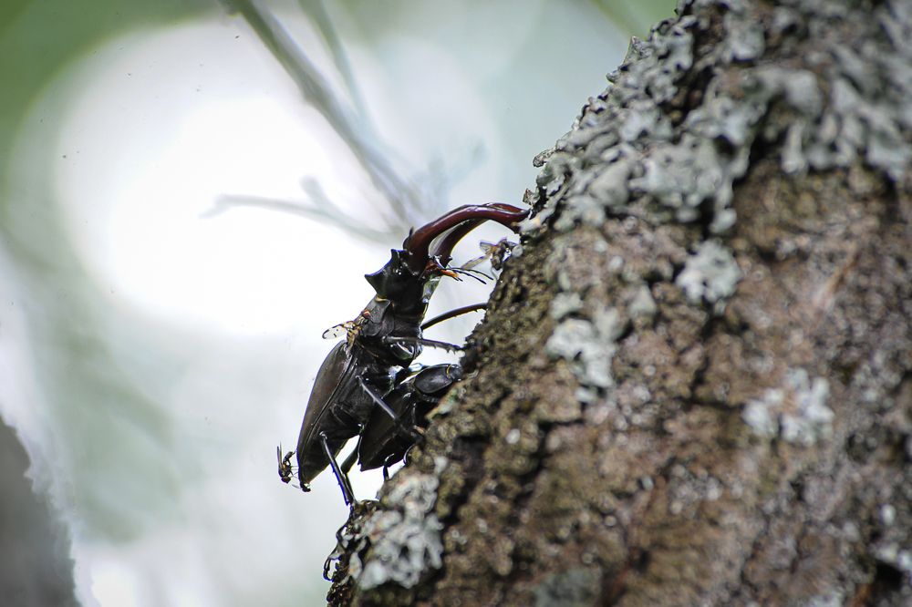 Фотография автора Людмила Сафонова