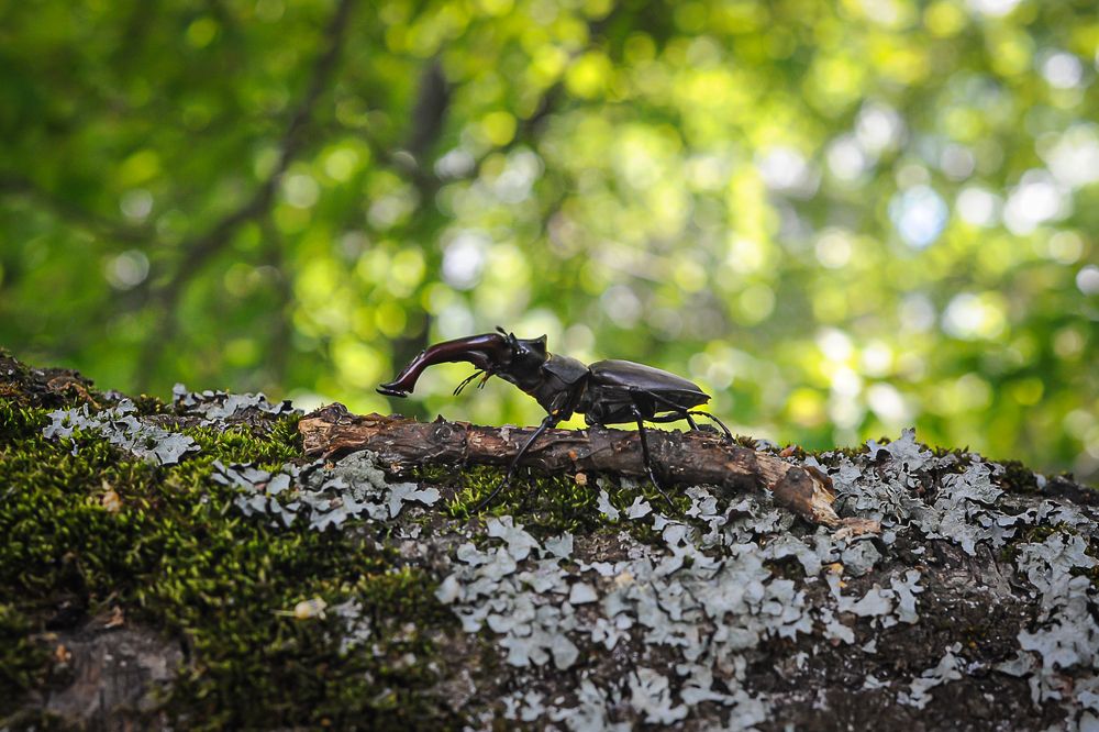 Фотография автора Людмила Сафонова