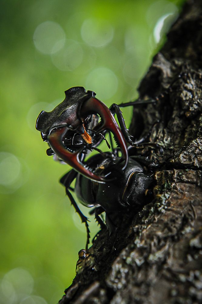Фотография автора Людмила Сафонова