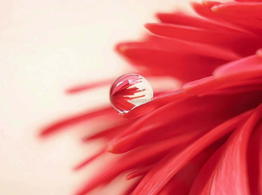 Photograph by NGUYEN LIEN