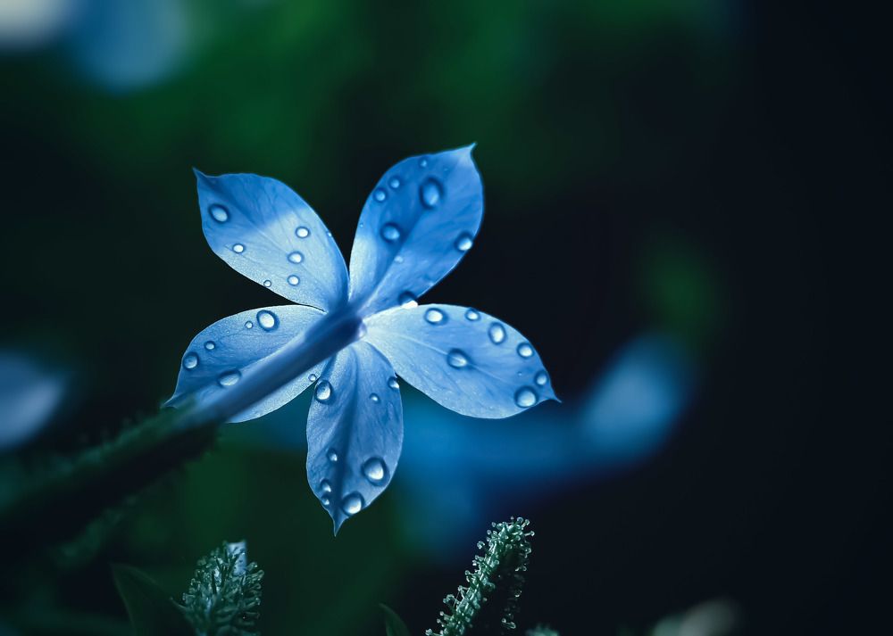 Photograph by NGUYEN LIEN