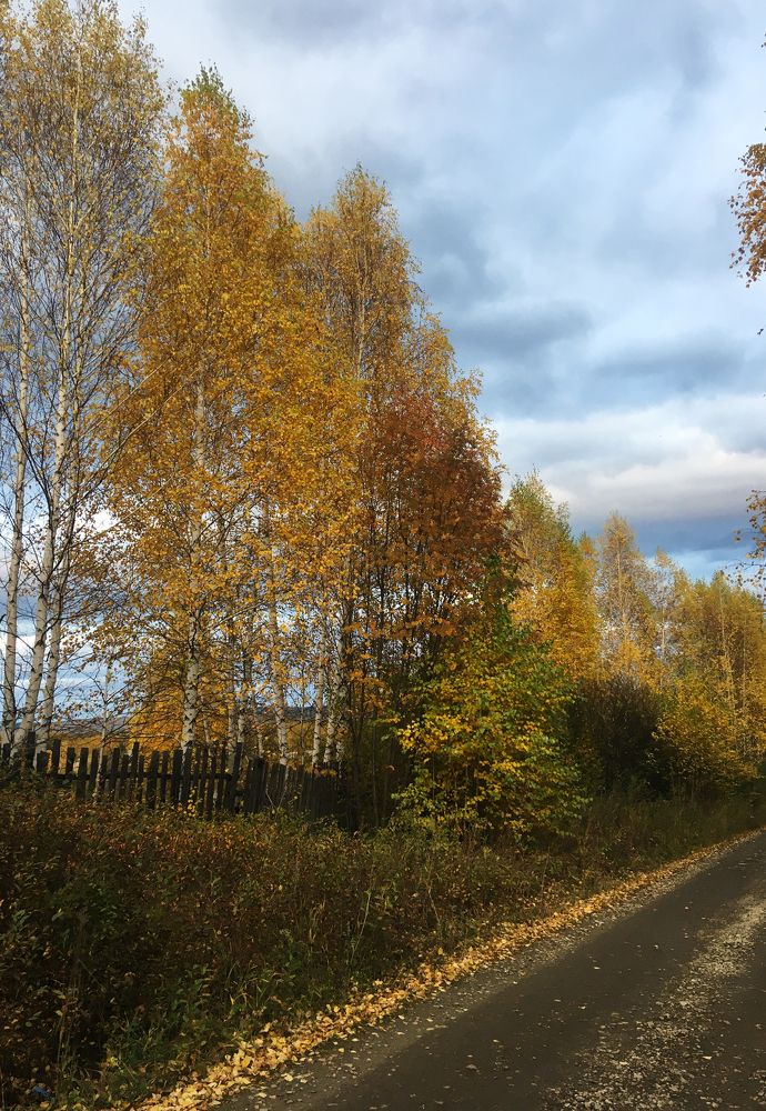 Photograph by Попел Ирина