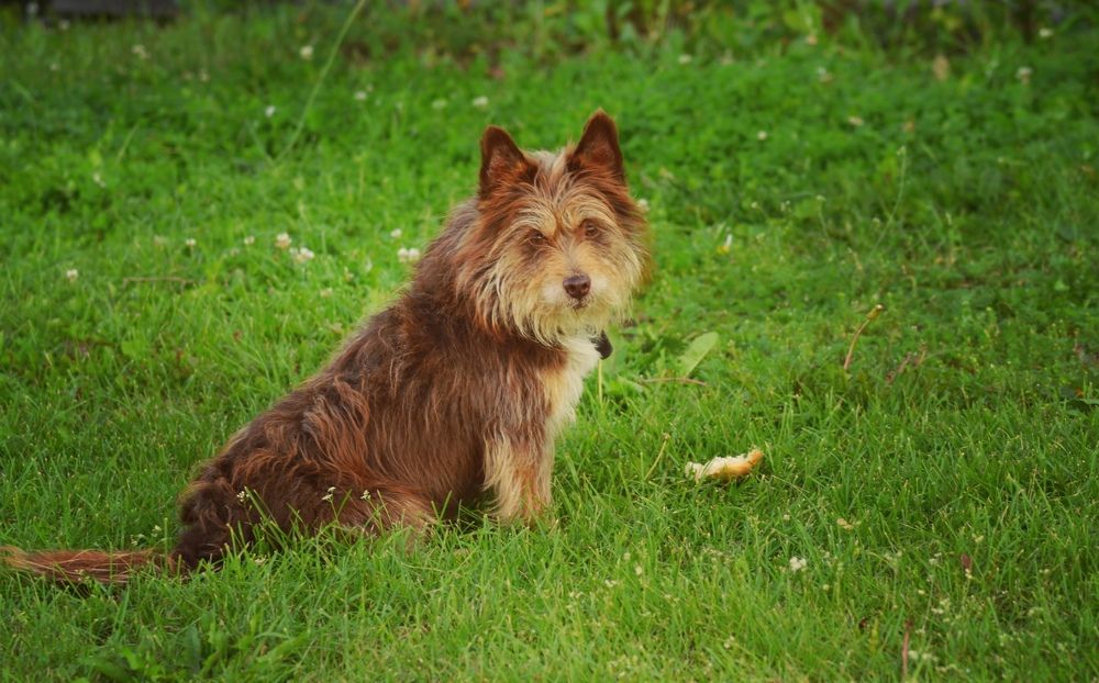 Photograph by Галина Карманова