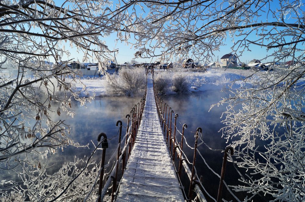 Photograph by Мишустина Татьяна