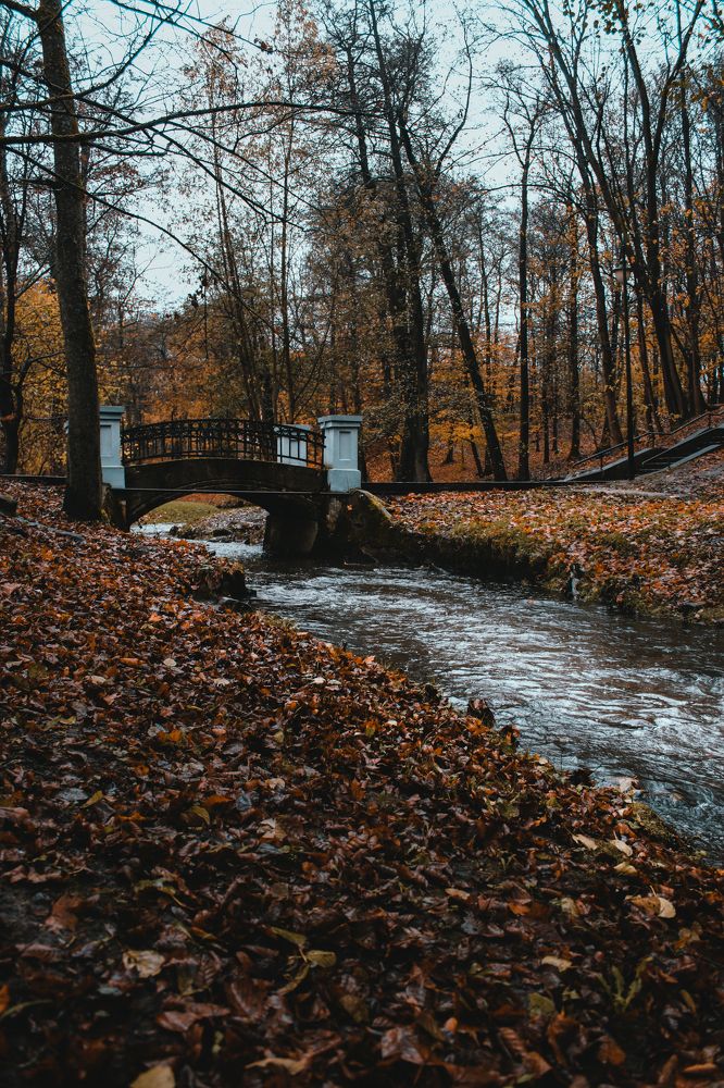 Фотография автора Дмитрий Миненко