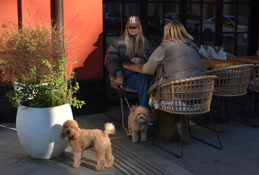 Photograph by Сергей Иванович Носов