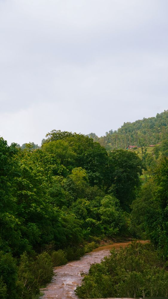 Photograph by Patel Rudra