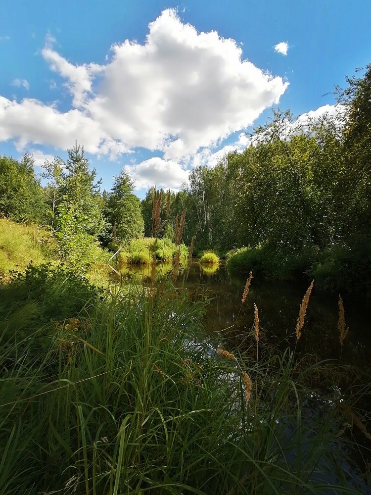 Photograph by Галина Карманова