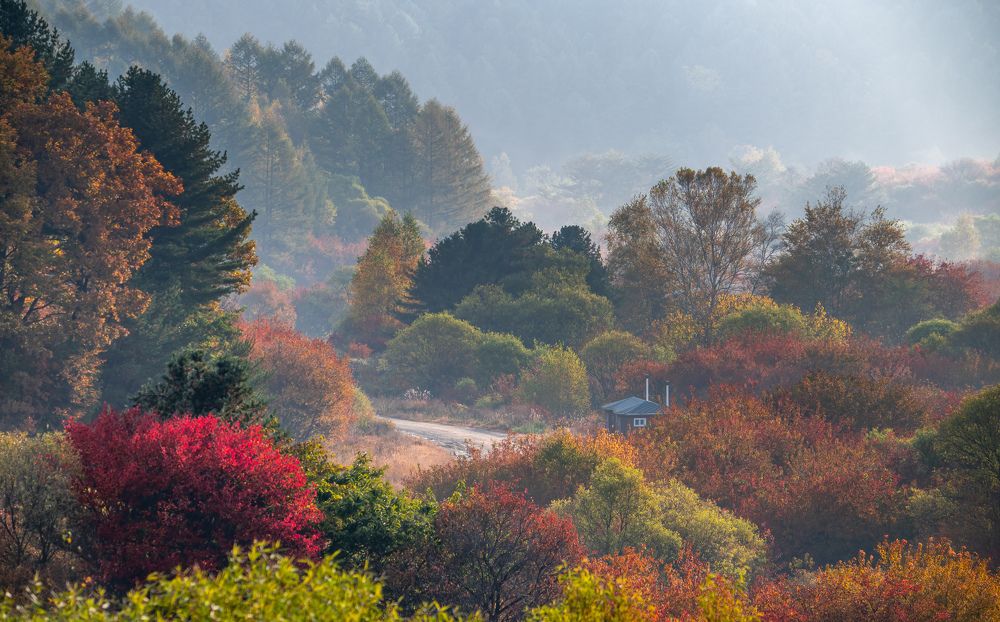 Photograph by Myunggyu Bae