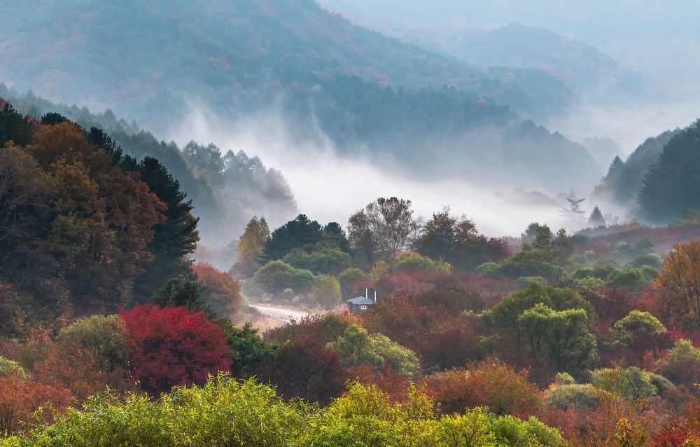 Photograph by Myunggyu Bae