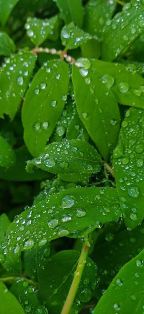 Photograph by Александра Храмцова