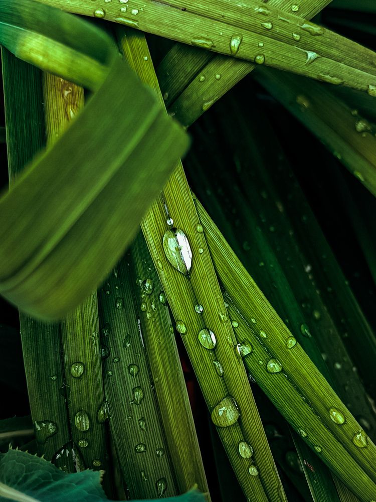 Photograph by Рафаэль Грузнов