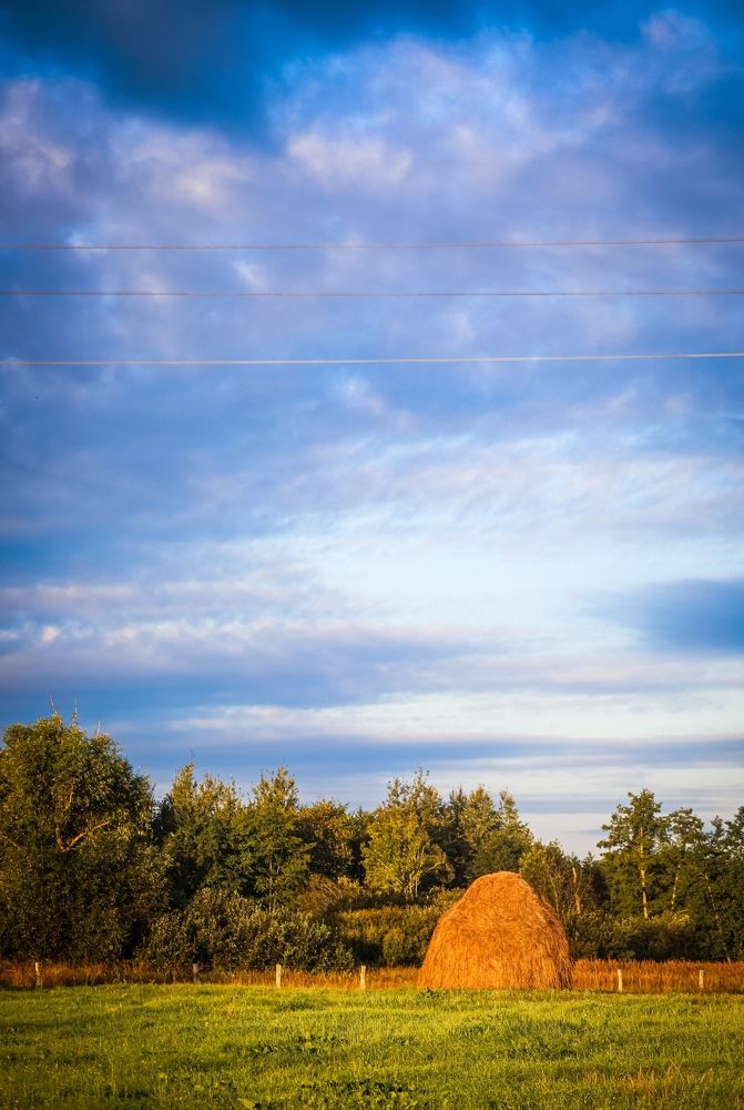 Photograph by Светлана Солдатченкова