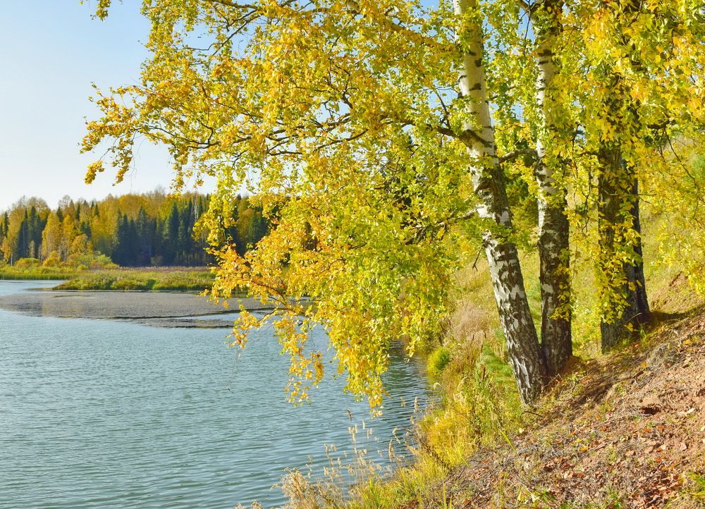 Берег осени.