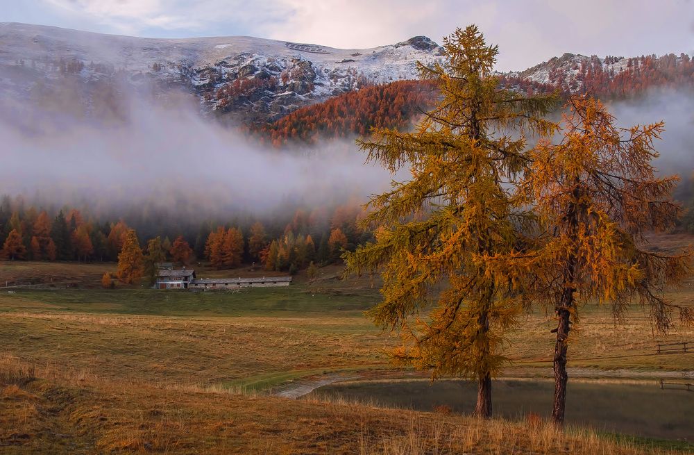 Photograph by Svetlana Rizzo