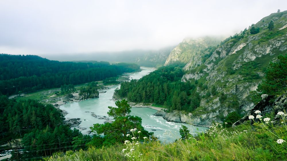 Photograph by Ольга Мурашева