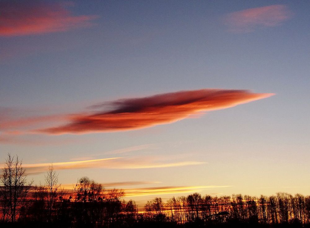 Дельфин небесный :)