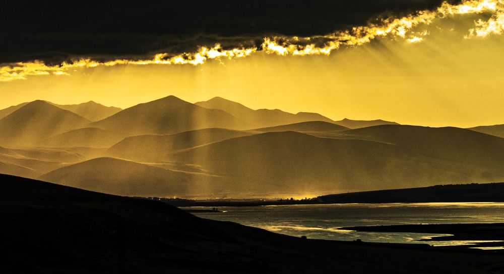 Photograph by Alex Kalpus