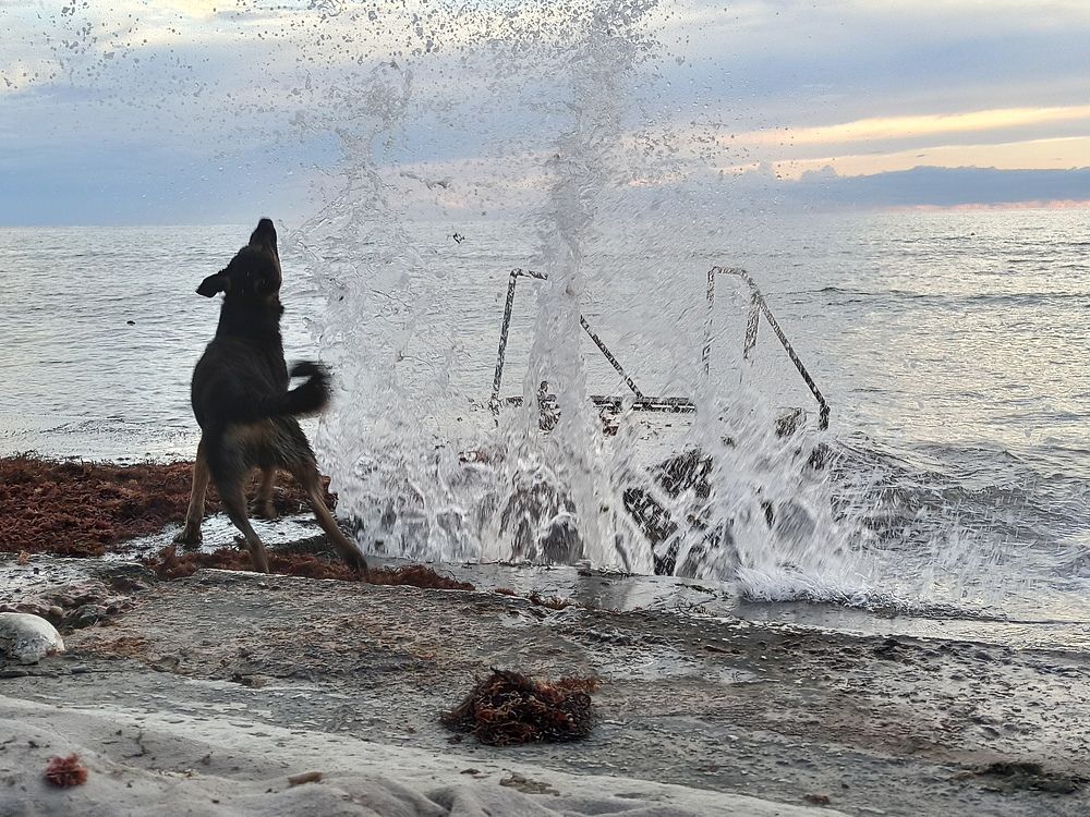 Photograph by Ирина Светличная