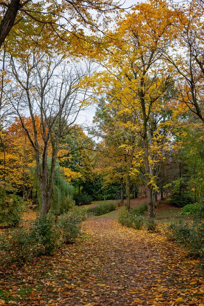 Photograph by Дмитрий Шудель