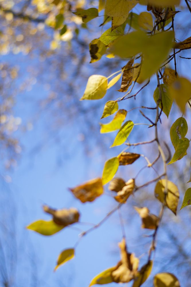 Photograph by Юля Шуравенкова