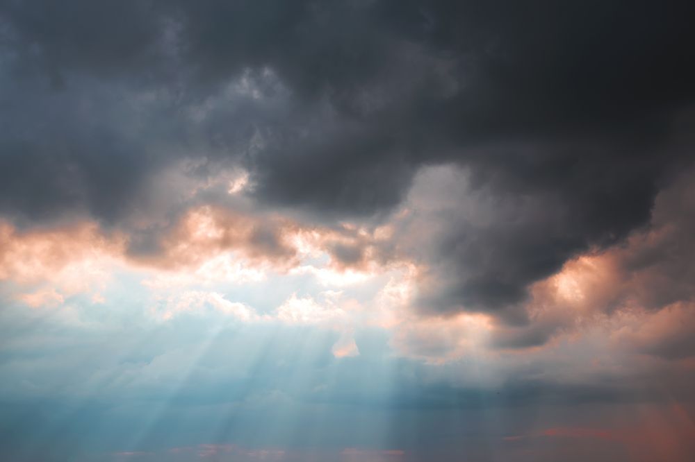 Свет во тьме