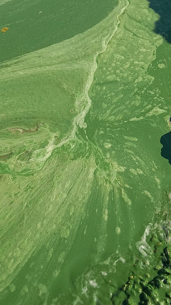 Берег Волги