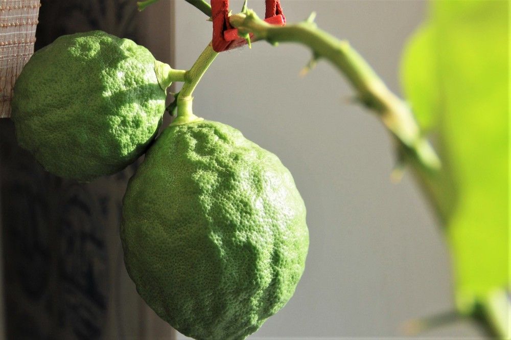 Photograph by Анна Березина