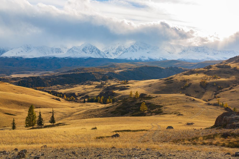 Photograph by Юлия Кныш