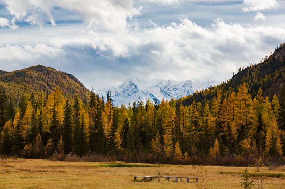 Photograph by Юлия Кныш