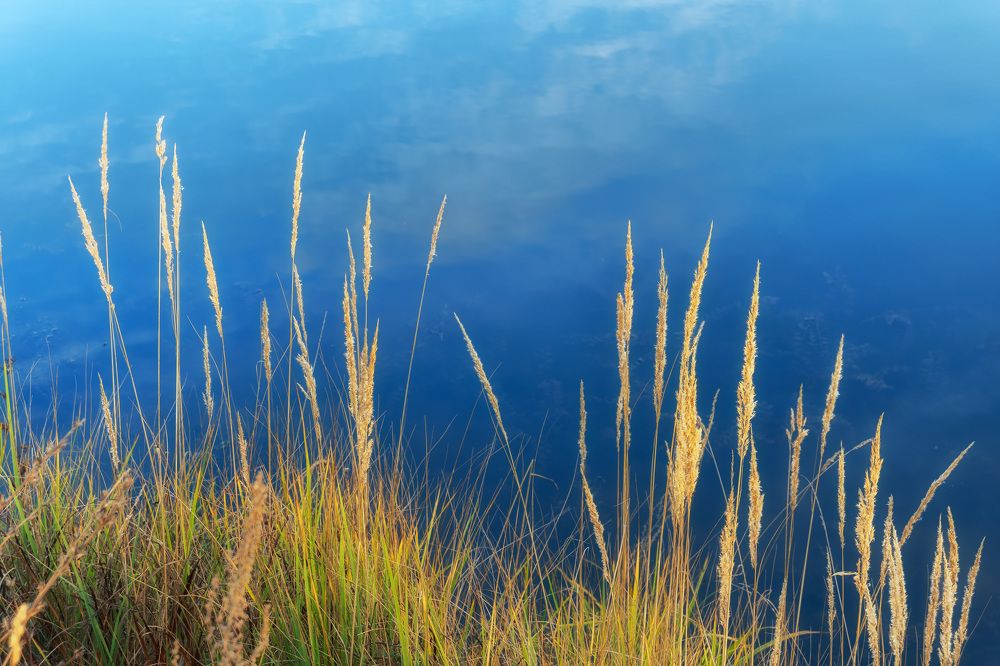 Photograph by Юлия Морозова