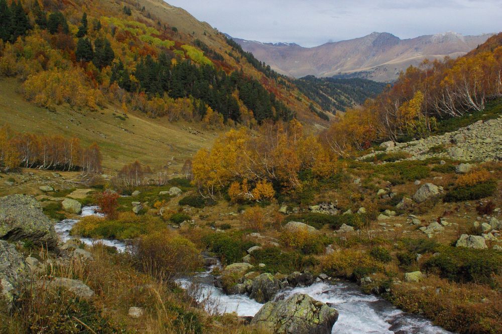 Золотая Долина